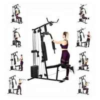 Multil Function Exercise Fitness Equipment Réglable Home Gym Assis Straight Arm Clip Mutli Function Station Gym Trainer