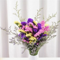 Bunga Myosotis Sylvatica yang Indah, Bunga Kering, Bunga Forget Me Not yang Diawetkan, Limonium yang Diawetkan