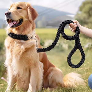 Custom Multicolor Heavy Duty Woven Nylon Braided Lovely Fashion Pet <strong>Collars</strong> and P <strong>Chain</strong> Leashes Set <strong>for</strong> Medium and Large <strong>Dogs</strong> - Product Image 5