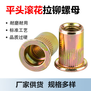 Tuercas Remachables Manka Hardware M4 M5 M6 M8 M10 M12 de 35mm de Longitud, Cuerpo Redondo, Color Zincado, Para Construcción - Product Image 5