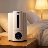 Diffuseur d'aromathérapie à flamme LED bleue électrique USB Petits humidificateurs en gros avec garantie d'un an pour les voitures et la maison