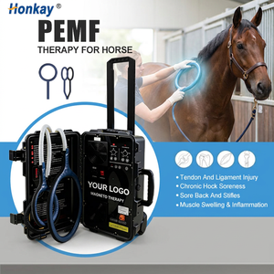 Appareil de récupération PEMF non invasif, directement de l'usine, pour détendre les articulations après la course et l'entraînement, dispositifs de thérapie PEMF pour les écuries de chevaux - Product Image 1