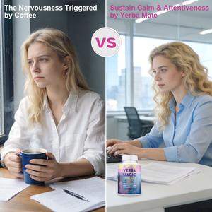Capsule Premium di Yerba Mate 100% Pura Non Affumicata con 75mg di Caffeina e Antiossidanti per Energia Quotidiana per Adulti - Product Image 6