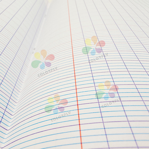 Cahier <span class=keywords><strong>d</strong></span>'exercices à lignes françaises, format A4/A5, 100/200 pages, impression trois couleurs, <span class=keywords><strong>prix</strong></span> <span class=keywords><strong>d</strong></span>'usine avantageux et haute qualité - Product Image 3