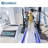 50-5000ml Machine de remplissage de liquide chimique de bouteille de blanchiment anti-corrosif automatique de haute qualité