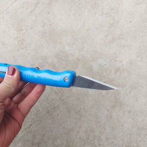 เครื่องมือขูดเปลือกต้นไม้แบบสองหัว ใบมีดเหล็ก ด้ามจับสีน้ำเงิน กันลื่น ใช้สำหรับทำสวนและตัดแต่งกิ่ง - Product Image 5