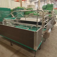 Cage de maternité moderne pour truies avec espace de ramassage des porcelets – Équipement d'élevage porcin pour systèmes d'élevage intensif