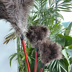 Spolverino in Piume di Struzzo con Manico Rosso, 3 Misure, Morbido, Vendita all'Ingrosso, per Pulizia di Camera da Letto, Ufficio e Mobili - Product Image 1