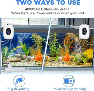 <span class=keywords><strong>Aquarium</strong></span> Luchtpomp Oplaadbare Draagbare <span class=keywords><strong>Fish</strong></span> Tank Luchtpomp Usb Beluchter Batterij <span class=keywords><strong>Aquarium</strong></span> Bubbler 2 Stopcontacten Met Stenen - Product Image 3