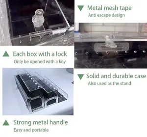 Linh hoạt <span class=keywords><strong>Acrylic</strong></span> hiển thị trường hợp cho loài bò sát rắn mô hình phong cách cổ điển khác nhau cấu hình hộp cho triển lãm hiển thị hiển thị - Product Image 3