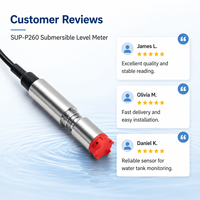 Sonde compacte submersible pour la purification de l'eau, la mesure du niveau et la collecte de données sur courte portée