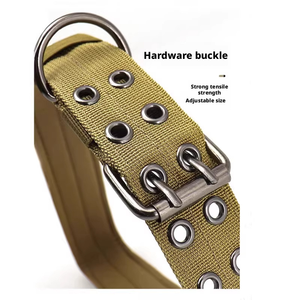 Collares para Mascotas Clásicos de Nailon Ajustables y Resistentes al por Mayor de China, <span class=keywords><strong>Collar</strong></span> <span class=keywords><strong>Martingale</strong></span> para Perros para Pasear, Trotar y Entrenar - Product Image 5