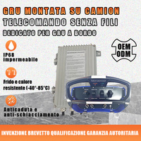 Nouvelle arrivée - Contrôleur à distance hydraulique automatique étanche IP68 avec 4 joysticks pour grues montées sur camion