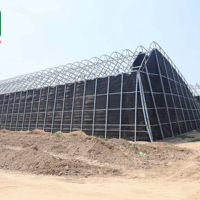 Serre de type tunnel de la marque ZHUOTAI avec couverture en film et système de ventilation pour la culture des fraises et autres légumes