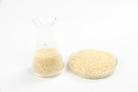 Poudre de gélatine comestible en vrac, directement de l'usine, pour confiserie, desserts, produits laitiers, boissons, transformation de la viande