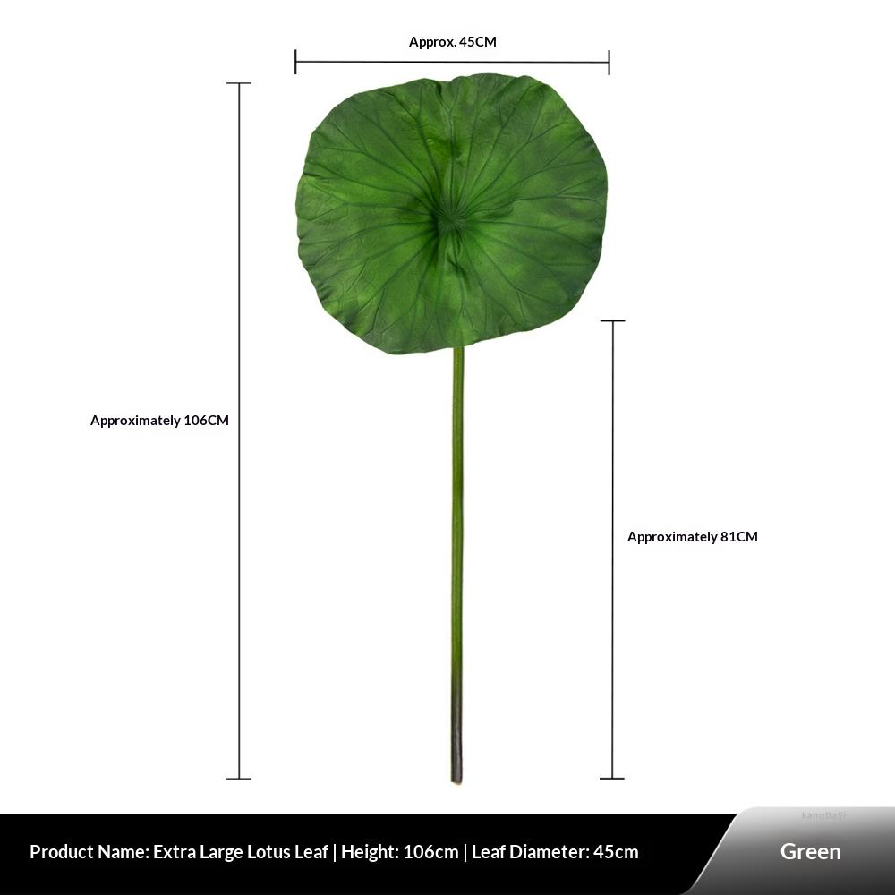 Feuille de lotus Gara