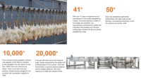 Eruis 2026 Nouveau modèle de machine à plumer les poulets entièrement automatique, compacte et mini, pour abattoir, équipement d'abattage Halal