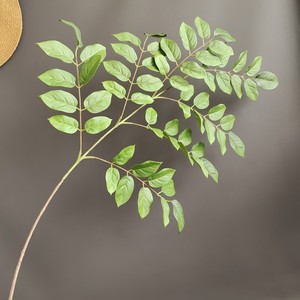 Hojas Artificiales de Lagerstroemia de Tacto Real, Ramas de Olmo Verde Natural Artificial, Follaje Falso para Decoración Minimalista del Hogar - Product Image 3