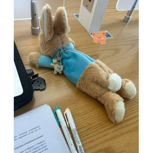 <strong>Rabbit</strong> Stuffed Animal Cartoon <strong>Peter</strong> <strong>Rabbit</strong> Memorial Doll Pencil Case Soft Plush <strong>Toy</strong> Birthday Gifts Girls <strong>Toys</strong> for Children - Product Image 4