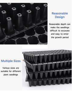 Plaques de Semis en <span class=keywords><strong>Plastique</strong></span> à 105 Alvéoles, Qualité Supérieure, Direct Usine – Plaques de Semis 105 Alvéoles en Matériau PET - Product Image 5