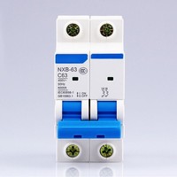 Disjoncteur PLC 2P 63A série pour protecteur NXB-63 type C professionnel