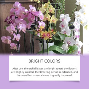 MoonSpry Hecho en China - Product Image 4