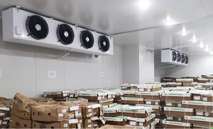 Congélateur mobile de nourriture de salle <span class=keywords><strong>froide</strong></span> du prix bon marché <span class=keywords><strong>chambre</strong></span> <span class=keywords><strong>froide</strong></span> pour des fruits et légumes - Product Image 2