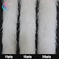 Écharpe Boas en Plumes d'Autruche pour Femme, Accessoire de Décoration de Vêtements, Châle, Personnalisable