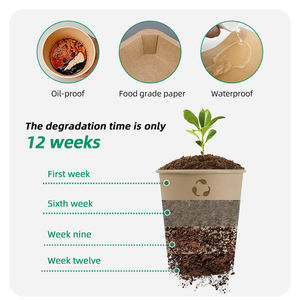 Rollo de Película para Mascarillas Faciales, Seguro Dermatológicamente, Sellable VFFS, Libre de PFAS, Suave al Tacto, Baja Estática - Product Image 6