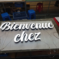 Logo du fabricant, lettres lumineuses personnalisées, étanches, LED 3D, signalétique extérieure en métal rétroéclairé, acier inoxydable, logo mural pour entreprise, logo de voiture