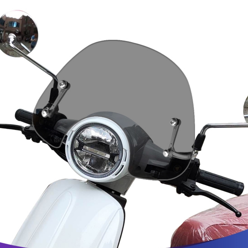 Cenere 28cm nuovo supporto speciale