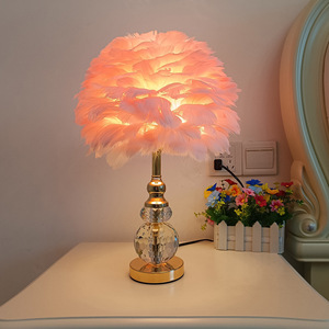 Modern White Pink <strong>Grey</strong> Crystal Feather <strong>Lamp</strong> LED Creative Pearl Goose Feathers for Bedroom Decoration E27 Bedside <strong>Floor</strong> <strong>Lamp</strong> - Product Image 4