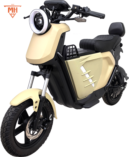 Adult Electric Cycle Rear Hub Motor Carbon Steel Frame Front Rear Shock Absorption 12-Speed Lead-Acid Battery Smart Electronic