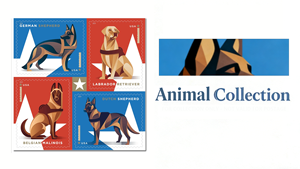 Etichette Postali Americane Personalizzate, Adesivi per Cani da Lavoro 2019, 100 Pezzi, Etichette Postali Permanenti in Bulk - Product Image 6