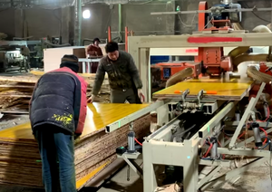 Panel Konstruksi Plywood Profesional 3 Lapis Warna Kuning untuk Luar Ruangan, E-commerce, Ketebalan 0.5mm, Toleransi WBP, Lem WBP, Formaldehida E1 - Product Image 4