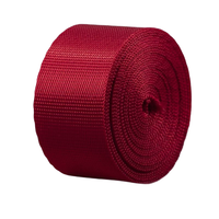 Sangles en sangle tissée imitation nylon colorées de 2,5 cm, anti-explosion, écologiques, résistantes aux UV, durables, pour poignées texturées