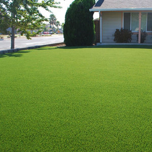 Garden Decoration <strong>Landscape</strong> <strong>Ornament</strong> Fake Turf <strong>Artificial</strong> <strong>Grass</strong> - Product Image 5