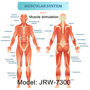 جهاز تحفيز العضلات TENS EMS IFT RUSS لتخفيف الألم والتهاب المفاصل وتقوية العضلات بتردد قابل للتعديل يوصي به الأطباء - Product Image 4
