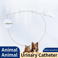 Cathéter urinaire vétérinaire jetable pour chats, chiens, petits animaux, cathéter urétral, tube de drainage, stérile, OEM ODM