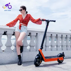 Patinete eléctrico grande para adultos, scooter Eléctrico de 2 ruedas con batería de 48v y 40Ah, en Taiwán