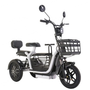 Venta Directa de Fábrica China, Vehículo Eléctrico de Tres Ruedas, 500W, Mini Auto de Tres Ruedas, Triciclo Eléctrico Biplaza - Product Image 2