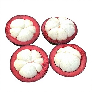 Mangoustan Biologique Premium Frais Khey Taladthai Grade Packaging Qualité Supérieure Goût Sucré Source Durable Durée de Conservation 1-2 Semaines - Product Image 1