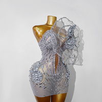 Abito Mini in Cristallo Argento con Fiori 3D, Monospalla, in Rete Trasparente con Strass, Aderente, per Serate di Gala e Sfilate