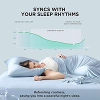 Draps de lit rafraîchissants pour dormeurs chauds Drap-housse Chill Cool avec 2 taies d'oreiller Bleu