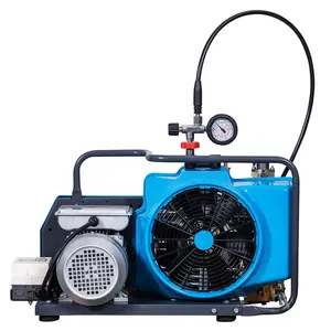 GP Auto Stop Three-phase Motor High Pressure 100LPM 4500psi 300bar 3Cylinder PCP Air Compressor for Scuba Diving