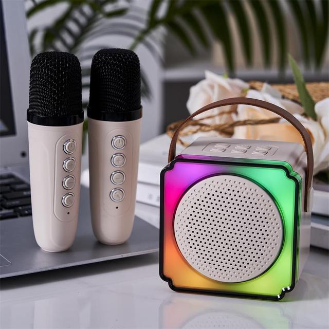 P8 Professional Handheld Stereo Speaker with Wireless Microphone Long-Distance Video Recording Amplifier