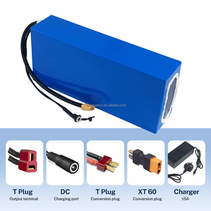 Chargeur de batterie personnalisé UE avec BMS 36V 48V 52V pour batterie lithium de vélo électrique, tricycle, moto, porte-bagages arrière - Product Image 1