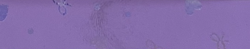 13 #