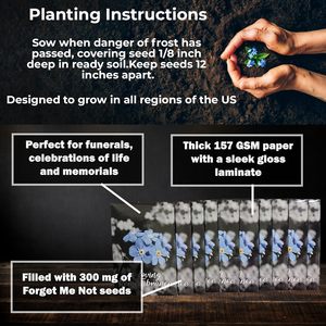 20pcs פרמיה מלאה מראש לשכוח אותי לא מנות קישוטי הלוויה חגיגה רעיונות חיים סירי פרחים עציצים - Product Image 5