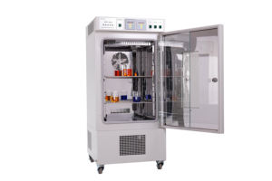 SENXIN MJP-360アップグレード細菌水分析試験用インキュベーターSUS 304材料サーモスタットLCD実験装置 - Product Image 2